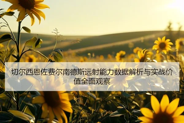 切尔西恩佐费尔南德斯远射能力数据解析与实战价值全面观察