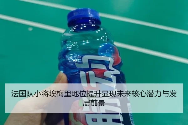 法国队小将埃梅里地位提升显现未来核心潜力与发展前景